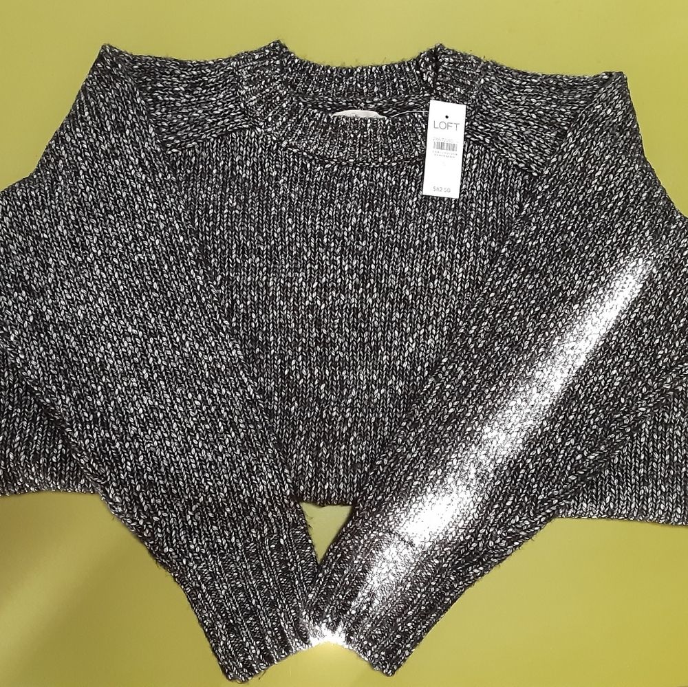 NWT LOFT SWEATER